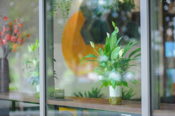 Comment l'entreprise soutient-elle le développement des compétences ?