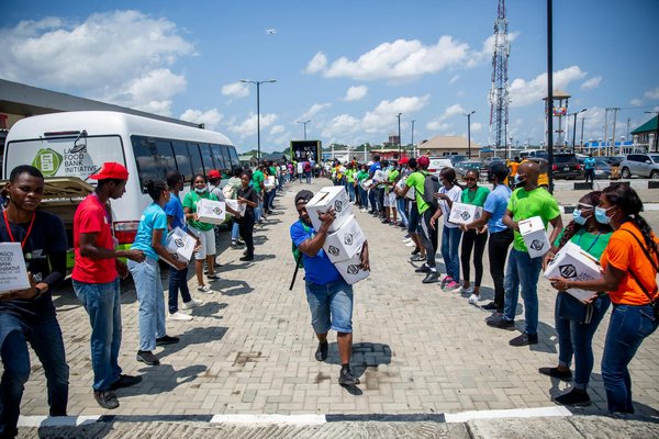 Solutions anti-moustiques professionnels pour votre tranquillité
